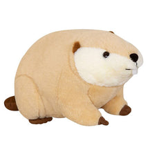 Load image into Gallery viewer, 45cm/60cm Beaver Wild Animal Plush Toys Stuffed Dolls
