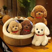 Load image into Gallery viewer, 22cm/28cm Real Life Teddy Dog Poodle Plush Toys Stuffed Animal Doll
