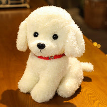 Load image into Gallery viewer, 22cm/28cm Real Life Teddy Dog Poodle Plush Toys Stuffed Animal Doll
