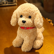 Load image into Gallery viewer, 22cm/28cm Real Life Teddy Dog Poodle Plush Toys Stuffed Animal Doll
