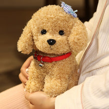 Load image into Gallery viewer, 22cm/28cm Real Life Teddy Dog Poodle Plush Toys Stuffed Animal Doll
