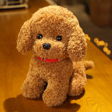 Load image into Gallery viewer, 22cm/28cm Real Life Teddy Dog Poodle Plush Toys Stuffed Animal Doll
