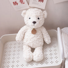 Load image into Gallery viewer, 25cm-50cm High Quality Soft Stuffed Cute Animal Plush Collection
