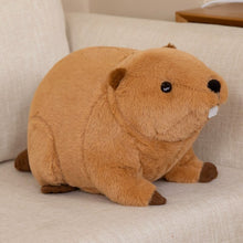 Load image into Gallery viewer, 45cm/60cm Beaver Wild Animal Plush Toys Stuffed Dolls
