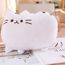 Load image into Gallery viewer, 25cm-50cm Cat Plush Pillow Kitten Cushion Toys
