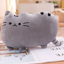 Load image into Gallery viewer, 25cm-50cm Cat Plush Pillow Kitten Cushion Toys
