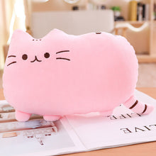 Load image into Gallery viewer, 25cm-50cm Cat Plush Pillow Kitten Cushion Toys
