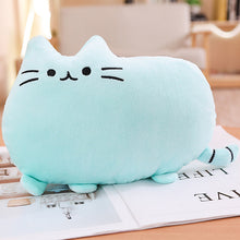 Load image into Gallery viewer, 25cm-50cm Cat Plush Pillow Kitten Cushion Toys
