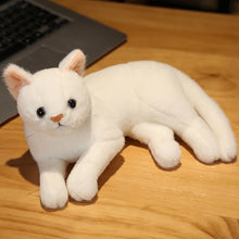 Load image into Gallery viewer, 31-50cm Kawaii Lifelike Plush Toys Cat Plush Doll - White
