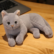 Load image into Gallery viewer, 31-50cm Kawaii Lifelike Plush Toys Cat Plush Doll - Grey
